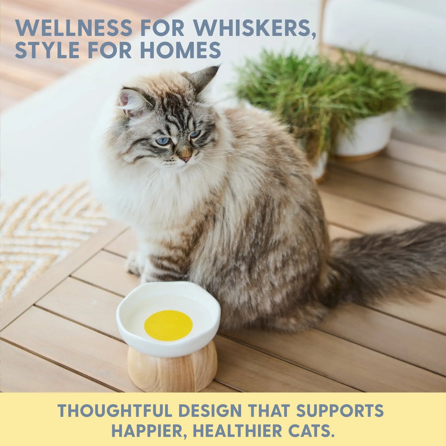 Elevated Egg-Shaped Cat Bowl