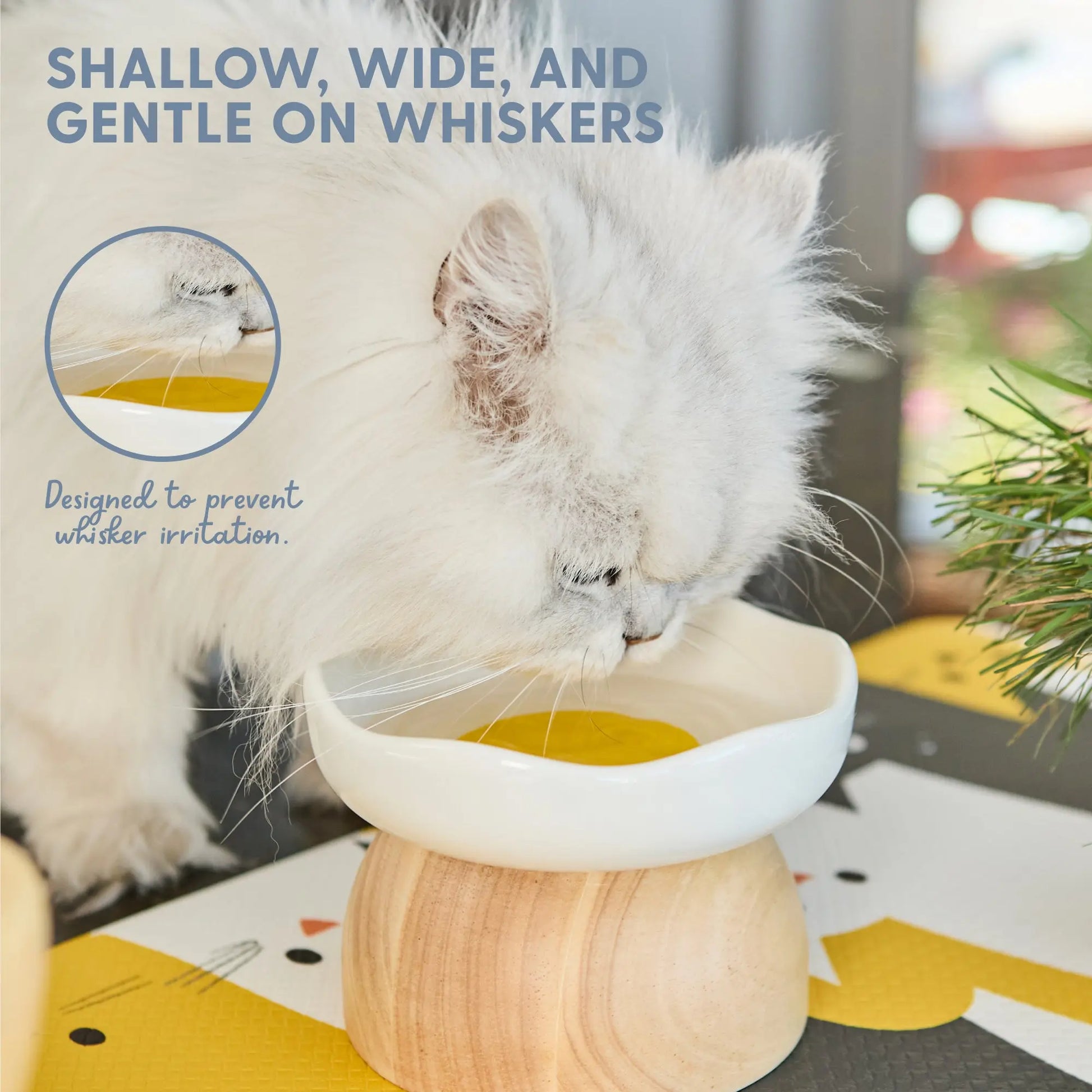 Elevated Egg-Shaped Cat Bowl