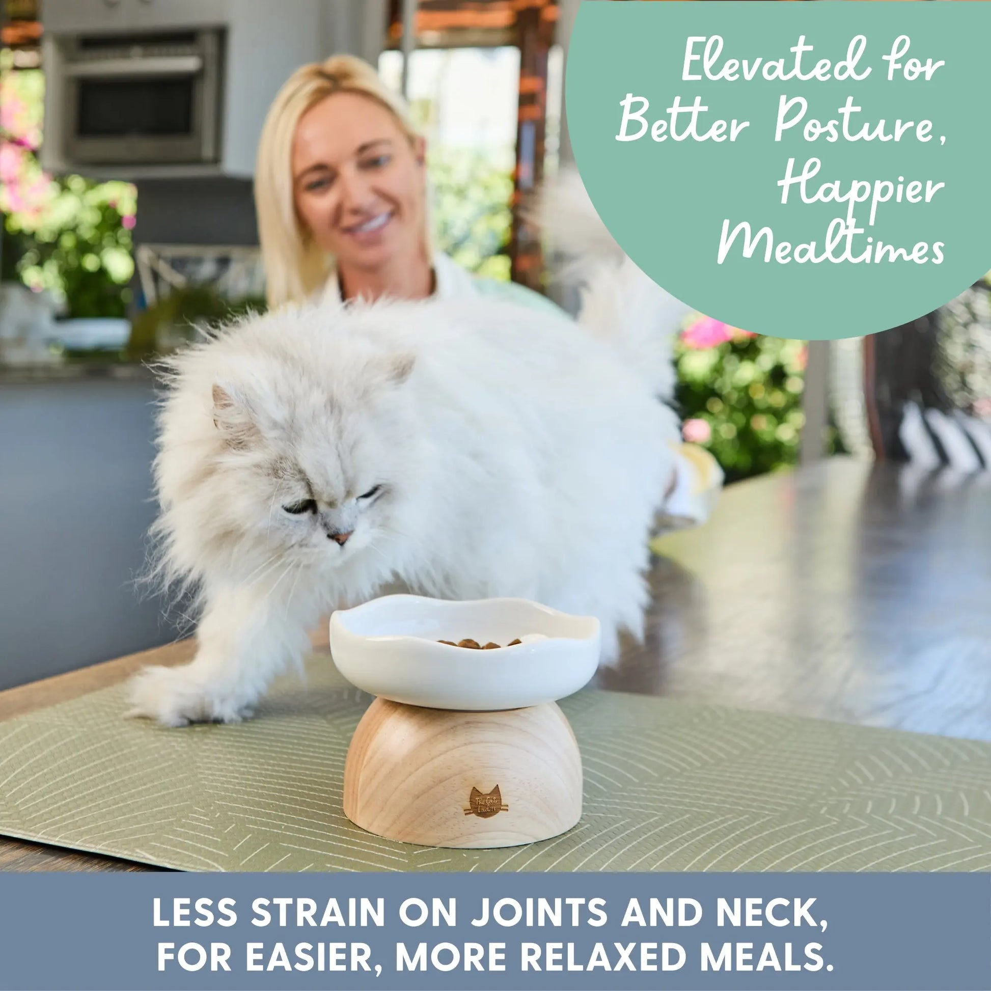 Elevated Egg-Shaped Cat Bowl