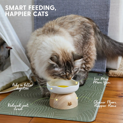 Elevated Egg-Shaped Cat Bowl