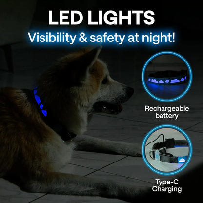 GPS Tracking Dog Collar with Airtag for Enhanced Pet Safety