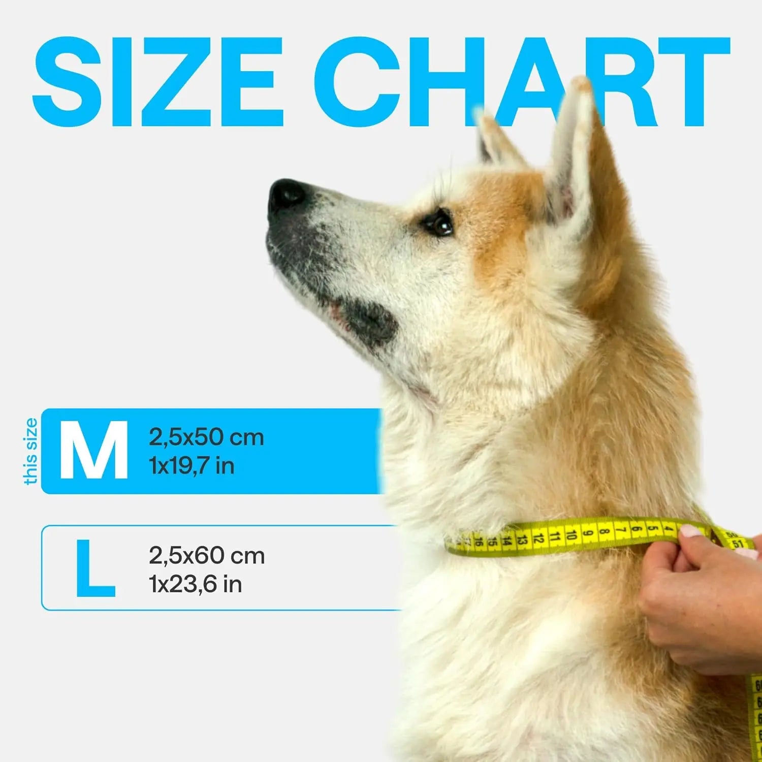 GPS Tracking Dog Collar with Airtag for Enhanced Pet Safety