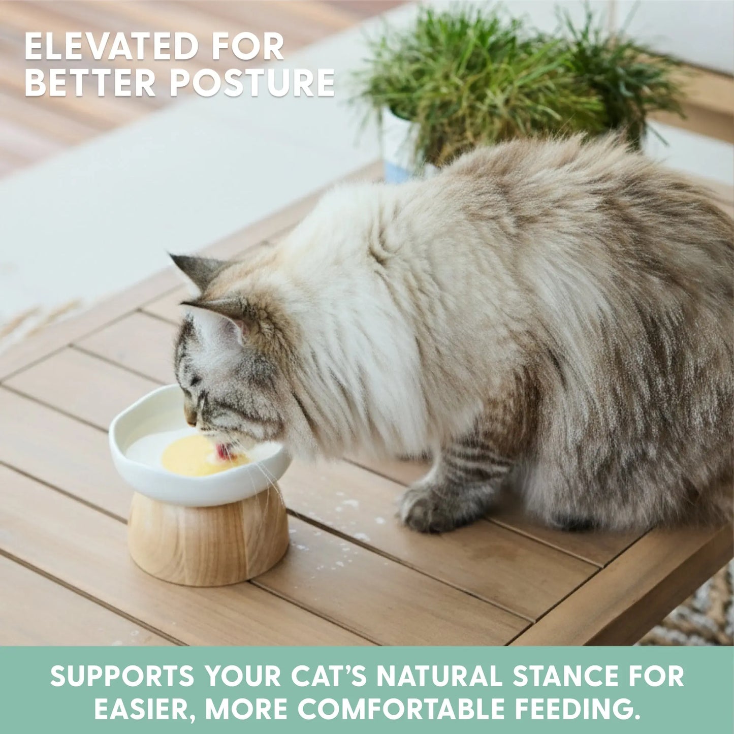 Elevated Egg-Shaped Cat Bowl